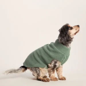 Outlet TOG24 Rover Sherpa Dog Coat M Light Forest