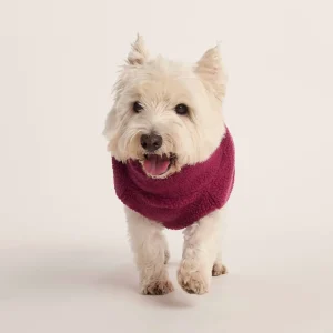 Discount TOG24 Rover Sherpa Dog Coat S Washed Burgundy