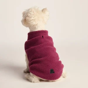 Discount TOG24 Rover Sherpa Dog Coat S Washed Burgundy
