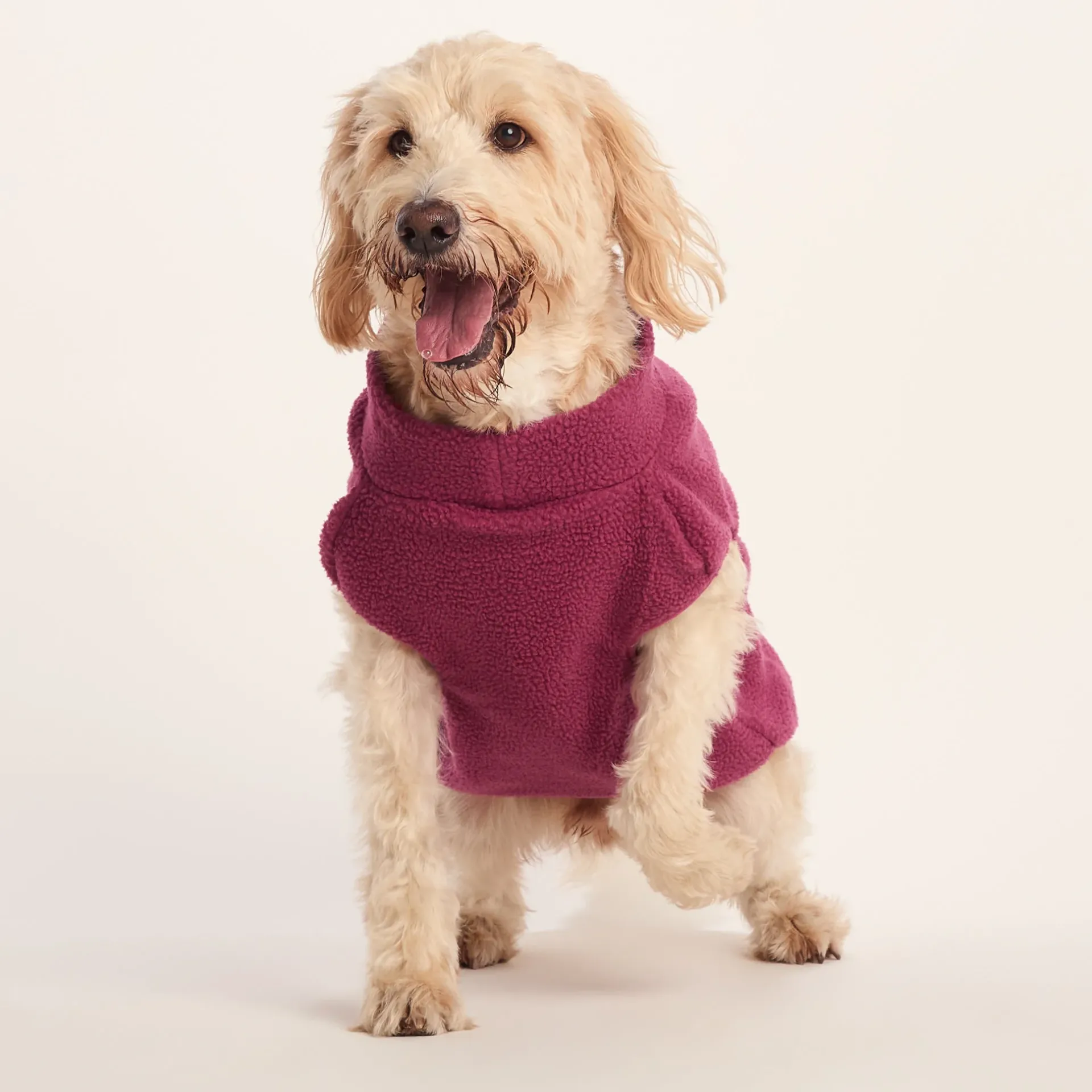 rover-sherpa-dog-coat-xl-washe-wjNBfbvj-0.webp Outlet TOG24 Rover Sherpa Dog Coat XL Washed Burgundy