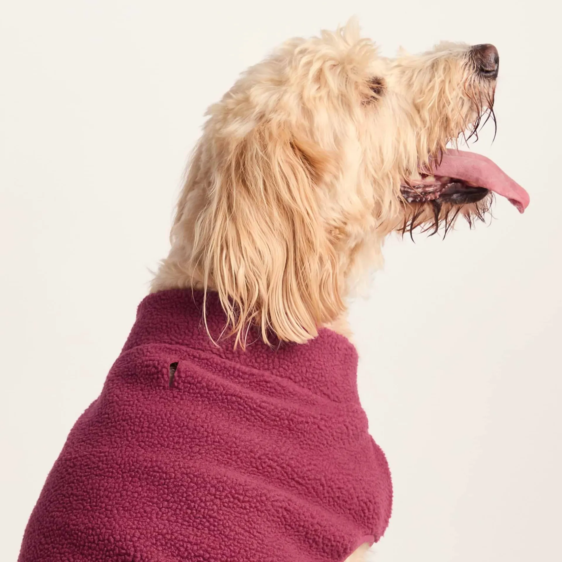 rover-sherpa-dog-coat-xl-washe-wjNBfbvj-2.webp Outlet TOG24 Rover Sherpa Dog Coat XL Washed Burgundy