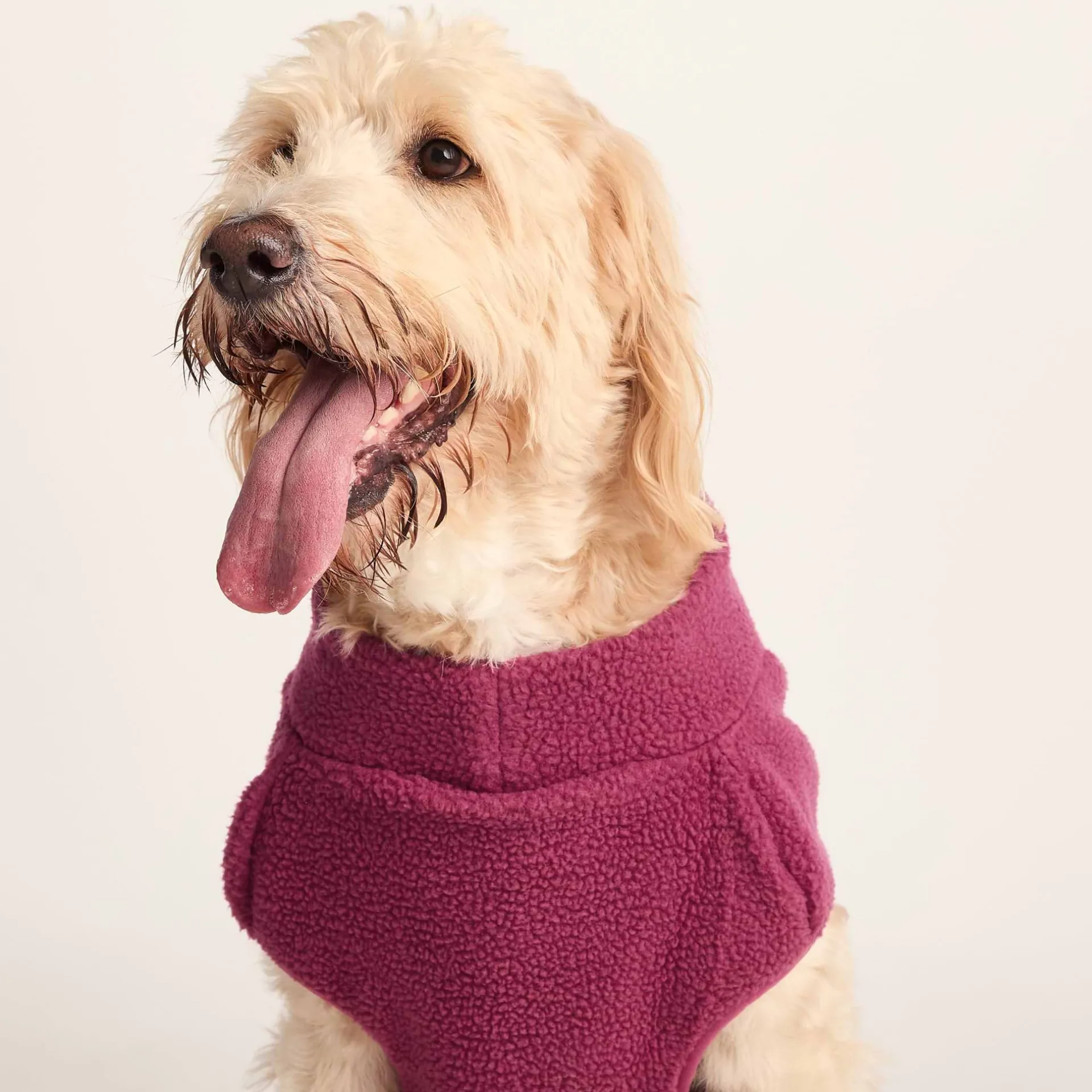 rover-sherpa-dog-coat-xl-washe-wjNBfbvj-4.webp Outlet TOG24 Rover Sherpa Dog Coat XL Washed Burgundy