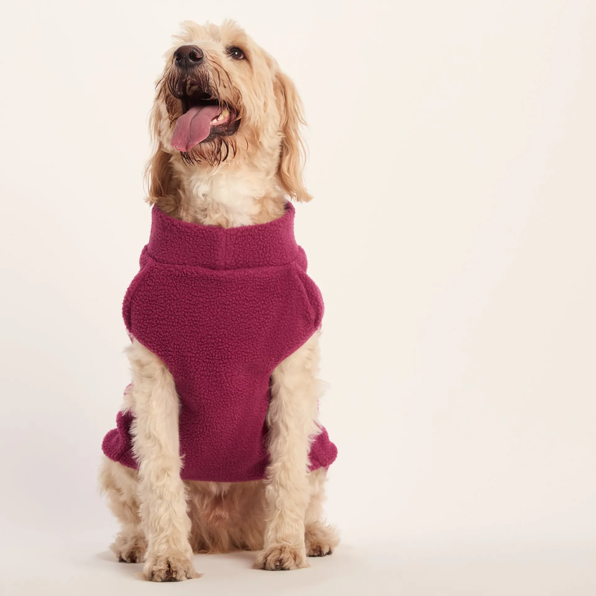 rover-sherpa-dog-coat-xl-washe-wjNBfbvj-5.webp Outlet TOG24 Rover Sherpa Dog Coat XL Washed Burgundy