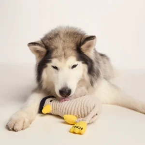 Sale TOG24 Steven Seagull Dog Plush Toy White