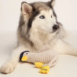 Sale TOG24 Steven Seagull Dog Plush Toy White