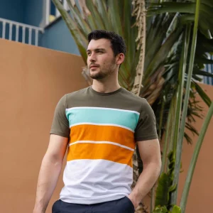 Fashion TOG24 Whitwick Mens T-Shirt In Khaki | Whitwick T-Shirts |